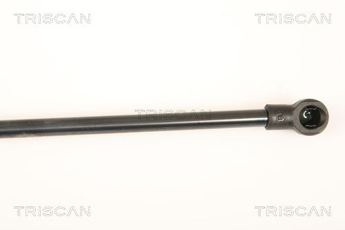 TRISCAN Gasveer, kofferruimte (8710 25245)